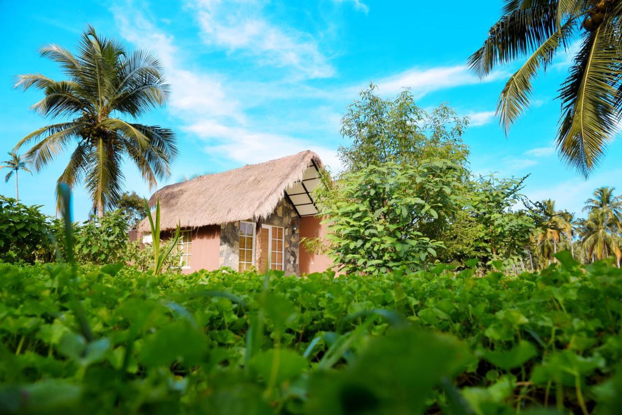 Coco Village Hotel Chilaw Bangadeniya Buitenkant foto